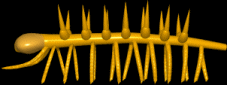 Hallucigenia anim&eacute;
